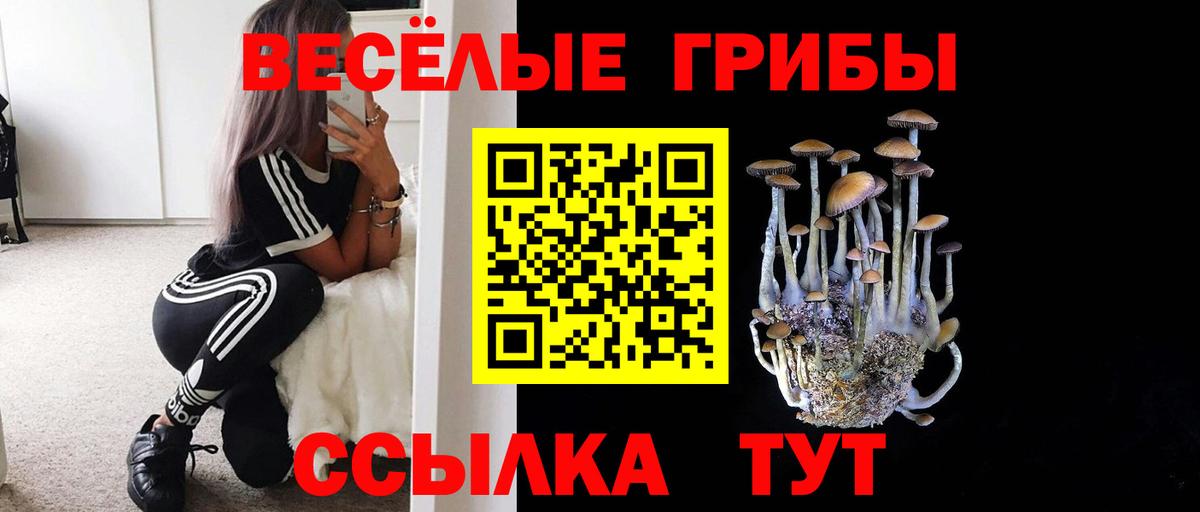 Волоколамск  Псилоцибиновые грибы ЛСД  Вход с VPN  где купить наркоту  Галлюциногенные грибы мицелий 