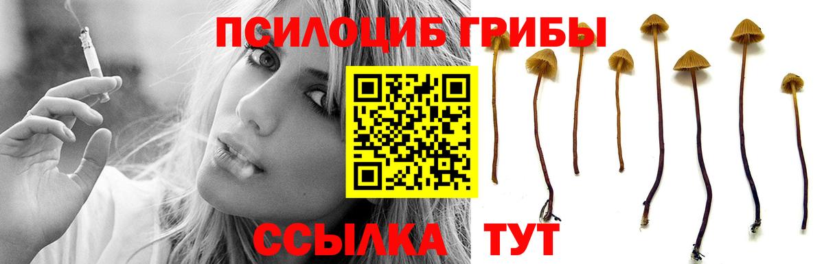 Галлюциногенные грибы Cubensis Волоколамск